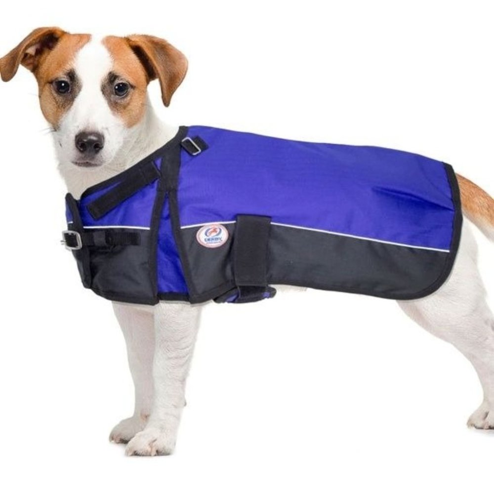 NEW Derby Originals Blue Waterproof Dog Puppy Blanket Coat Sz Small 12"-14" Long
